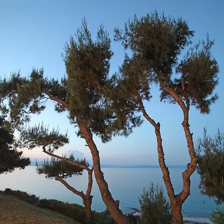 Apartman Sea View Apollo & In