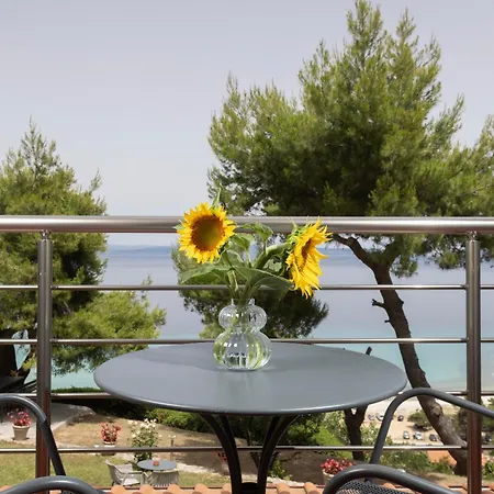 Sea View Apollo & In Apartment