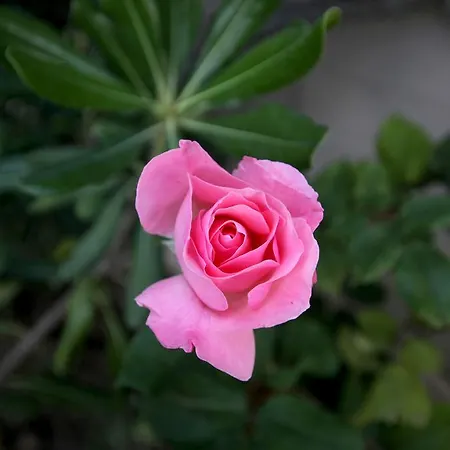 Sea View Apollo & In Afytos